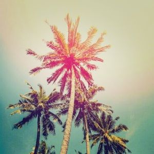 Meet your Posher, Sofia